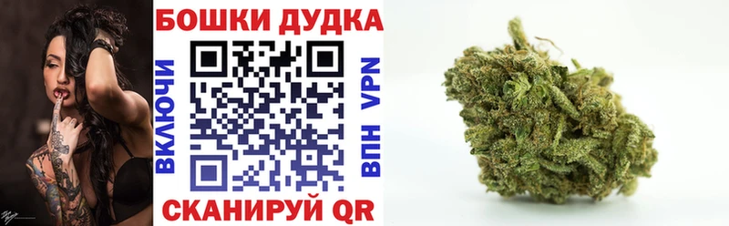 как найти наркотики  Енисейск  MEGA ONION  Конопля White Widow 